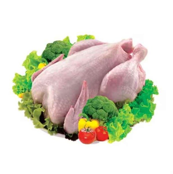 Premium Grade Halal Frozen Whole Chicken Brazilian Quality Halal Frozen Whole Chicken and Parts Halal Frozen Whole Chick - Image 3