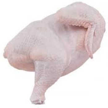 High Quality / Top Brazilian / Best Quality Healthy and Natural Whole Chicken Halal Frozen Whole Chicken From Turkey Poultry Meat Chicken with Customize Pack - Image 3