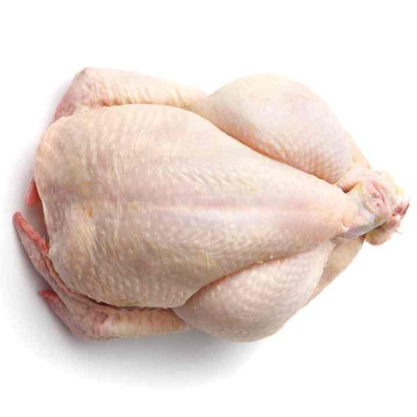 Wholesale Chickens Frozen ,Frozen Whole Chicken Cheap price - Image 5