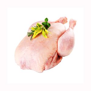 Quality Halal Frozen Chicken Gizzards chicken Gizzard Whole Chicken / Chicken Offals / Chicken Gizzards supplier