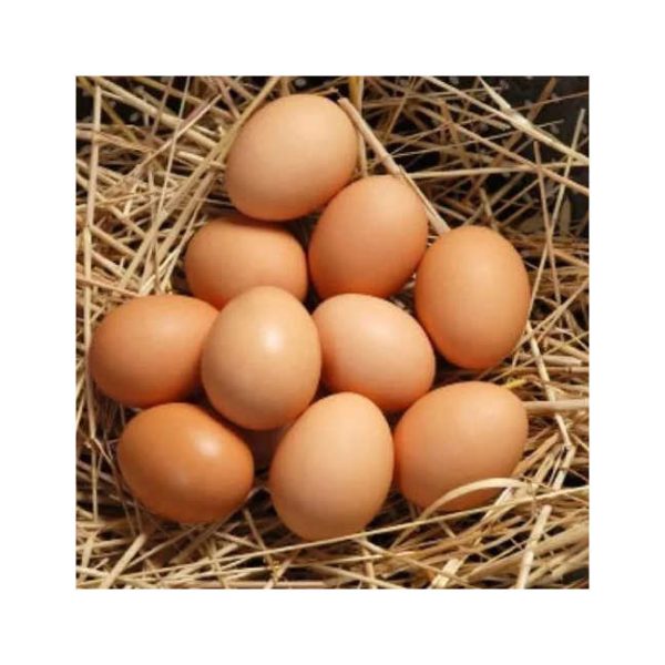 Fresh Table Eggs From Farm-Raised Chickens Protein Rich Chicken Table Eggs Direct White Supplier - Image 3