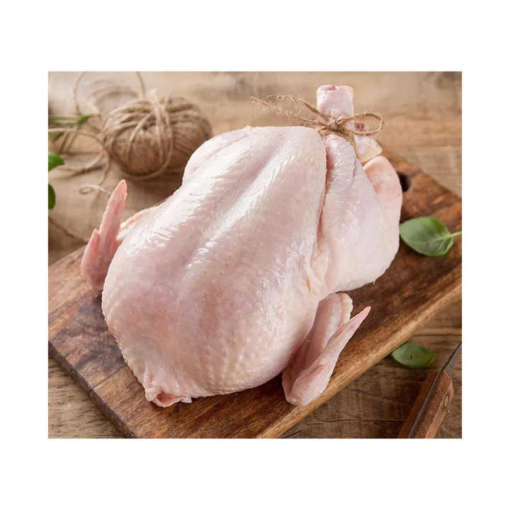 Broiler and Griller. Chicken Parts!! Halal whole chicken, Brazil frozen whole chicken suppliers, frozen whole chicken for export - Image 5