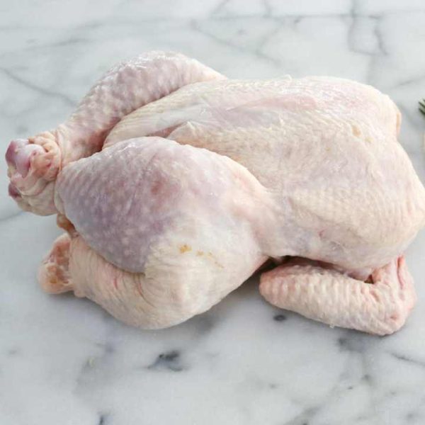 Brazil Halal Frozen Whole Chicken, Frozen Chicken Frozen Processed Chicken - Image 5