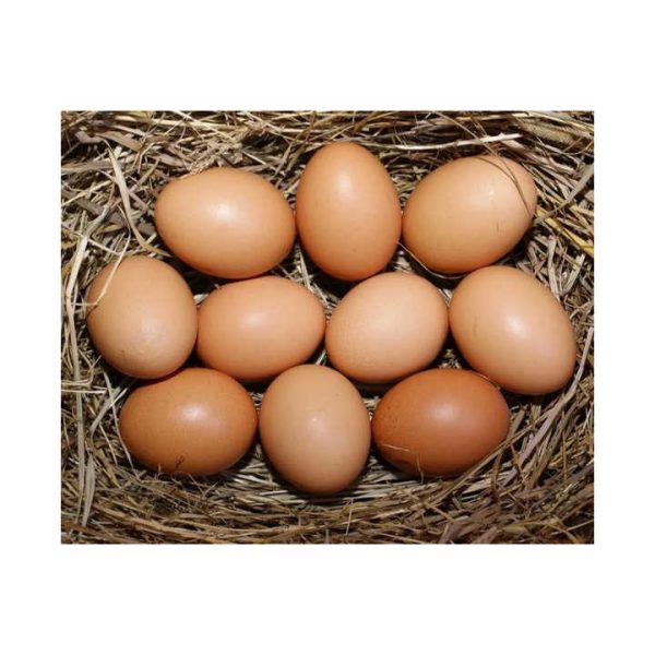 Fresh Table Eggs From Farm-Raised Chickens Protein Rich Chicken Table Eggs Direct White Supplier - Image 2