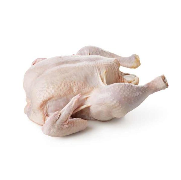 Premium Supplier Halal Frozen Whole Chicken Halal Chicken Processed Meat From Brazil