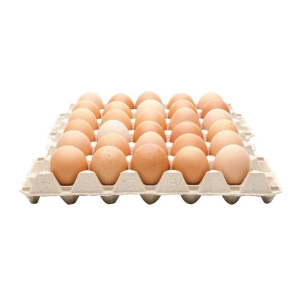Premium Farm Fresh Chicken Table Eggs Brown and White Shell Chicken Eggs Cheap Price - Image 2