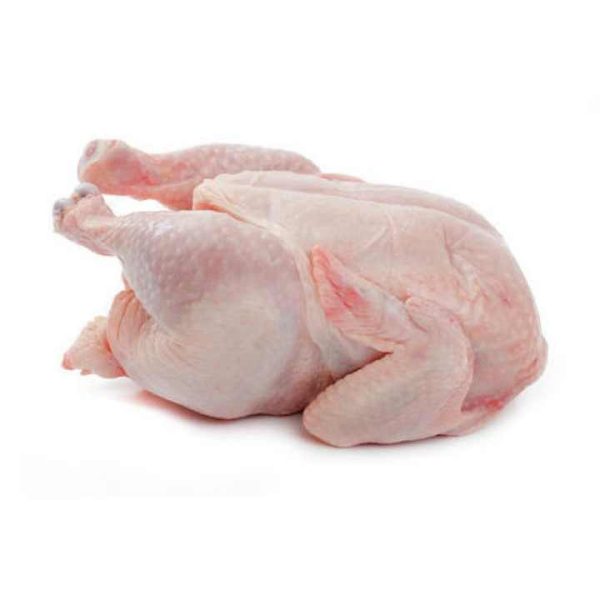 Premium Grade Fresh Frozen Chicken in a Best Rate Wholesale Chickens Frozen Poultry Meat Whole Chicken Halal Whole Frozen Chick