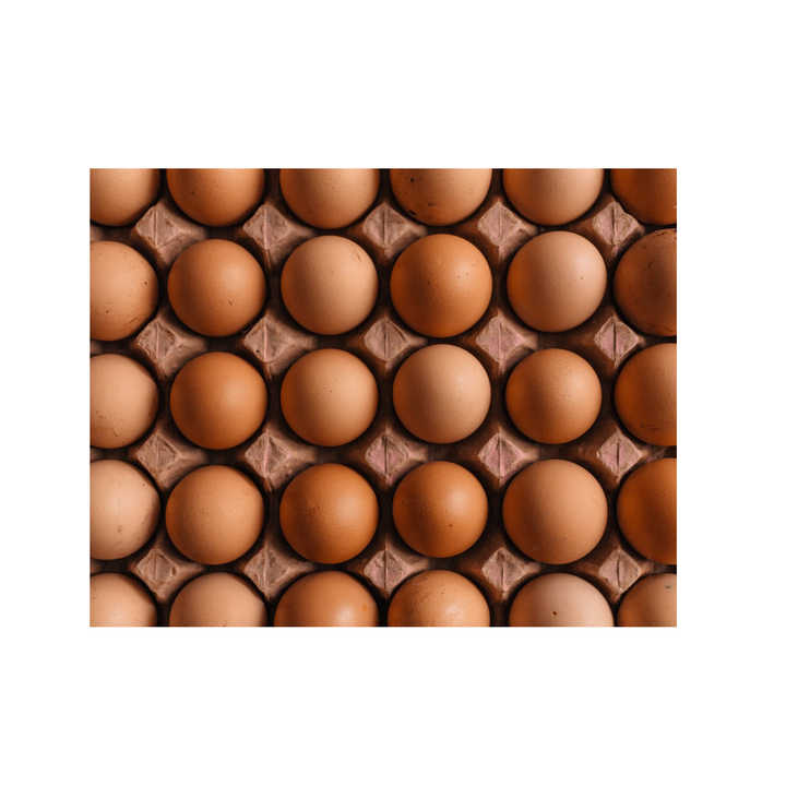 Fresh Table Chicken Eggs Brown Best Quality Fresh Brown Table Chicken Eggs Farm - Image 3