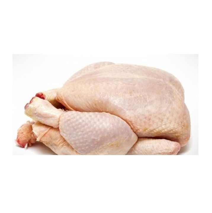 Frozen Whole Chicken for Wholesale - Competitive Pricing, Fast Shipping - Image 2