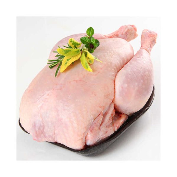 High Quality HALAL Frozen Whole Chicken From Brazilian Wholesale Frozen Chicken Breast From Brazil - Image 2