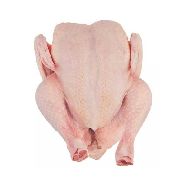 For Sale QUALITY HALAL WHOLE FROZEN CHICKEN FROM BRAZIL Top Quality Frozen Chicken Feet Paws Breast / Frozen Whole Chicken - Image 2