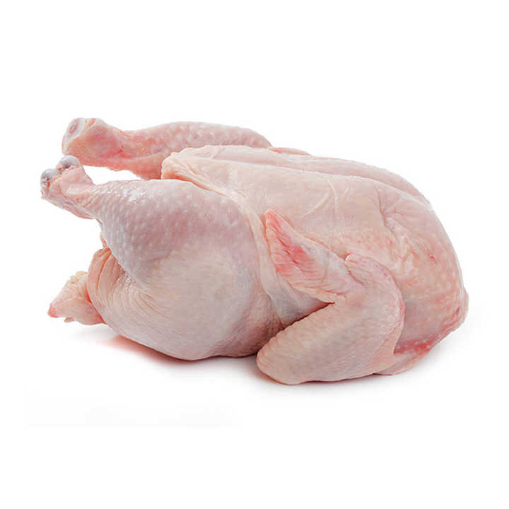 Frozen Chicken Legs and Wings Halal Whole Frozen Chicken/ Best World Market Price / Poultry Products 100 - Image 4