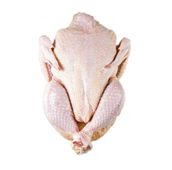 Top Brazilian Premium Quality Halal Frozen Whole Chicken High-Grade Processed Meat Whole Sale Halal Chicken Direct from Brazil - Image 5