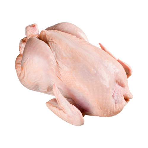Frozen Chicken Whole Frozen Beef Chicken Fish Meat Whole Cold Frozen Meat Wholesale - Image 6