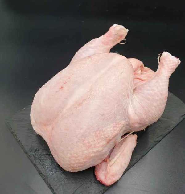 Wholesale Premium Frozen Chicken Cheapest Whole Raw Chicken for Sale