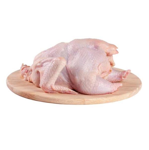 Frozen Chicken Whole Frozen Beef Chicken Fish Meat Whole Cold Frozen Meat Wholesale - Image 6