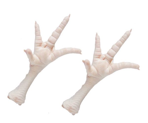 Best Grade Chicken Halal Frozen Chicken Paws for Good Price Export Frozen Chicken Feet for Ready Market - Image 4