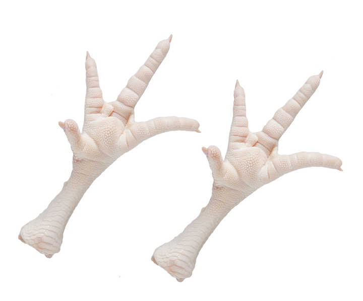 Best Grade Chicken Halal Frozen Chicken Paws for Good Price Export Frozen Chicken Feet for Ready Market - Image 4