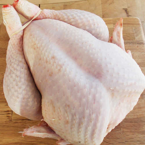 Perfect Premium Grade Frozen Whole Chicken Quality Frozen Whole Chicken and Parts Frozen Whole Chick - Image 3