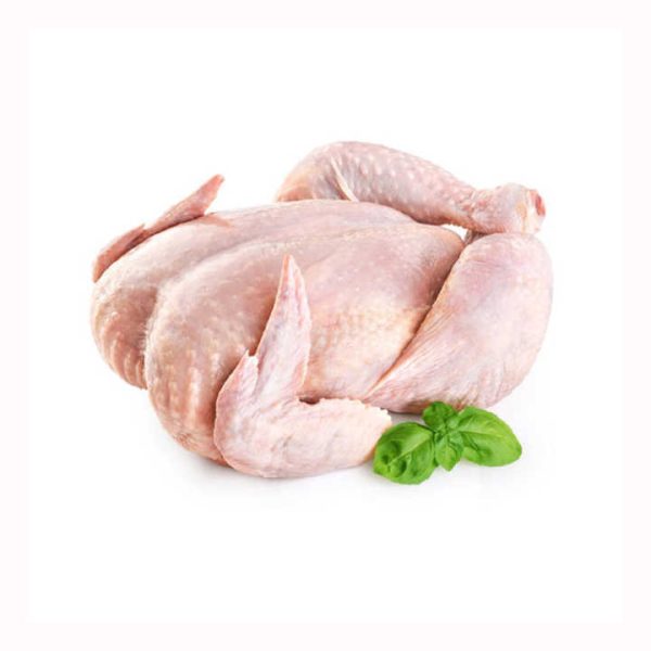 whole frozen chicken Halal Frozen Whole Chicken QUALITY HALAL WHOLE FROZEN CHICKEN FROM BRAZIL BRAZIL HALAL FROZEN - Image 6