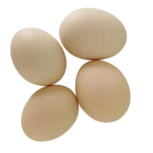 Premium Farm Fresh Chicken Table Eggs Brown and White Shell Chicken Eggs Cheap Price - Image 3
