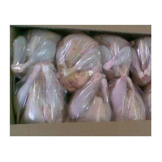 HALAL Frozen Whole Chicken and Chicken Cuts Breast Fresh Grade Premium for Export - Image 2