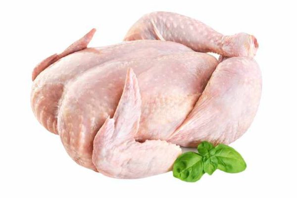 Wholesale Chickens Frozen ,Frozen Whole Chicken Cheap price - Image 3