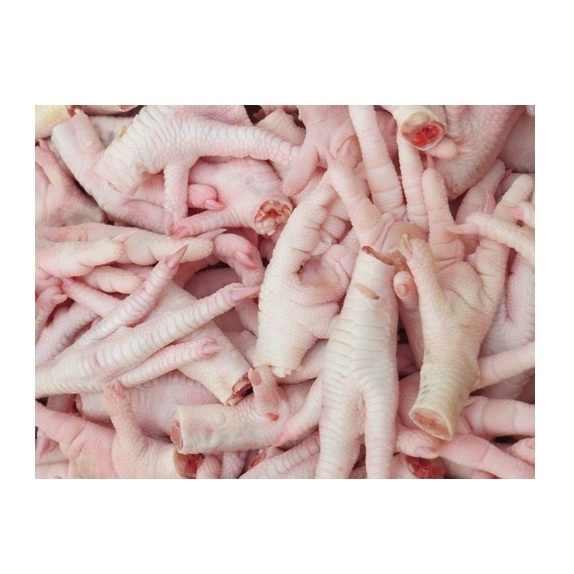 Halal Chicken Feet / Frozen Chicken Paws Brazil / Fresh Chicken wings