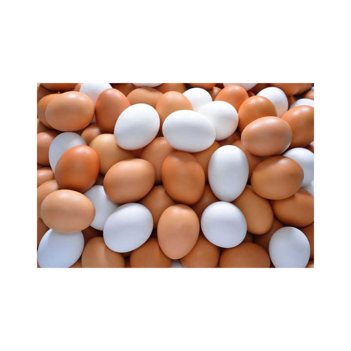Best Quality Fresh Brown Table Chicken Eggs Cheap Fresh Chicken Table Eggs Fresh Chicken in bulk Brown Eggs from Brazil - Image 5