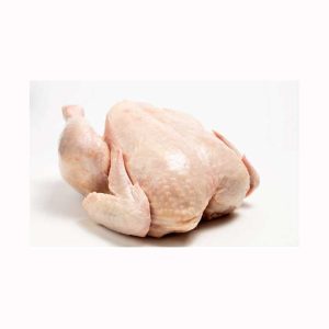 / Frozen Whole Chicken / Frozen Chicken Legs and Wings Top Quality Halal Frozen Whole Chicken / Breast and Paws