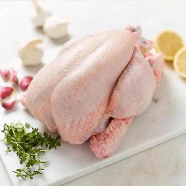 Halal Frozen Chicken Breast and Whole Frozen Chicken Box Style Packaging Feature Weight Shelf Origin Brazil - Image 3