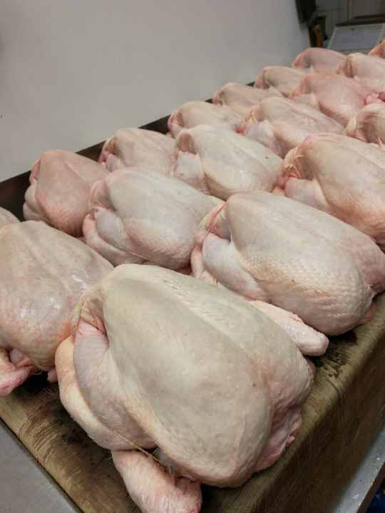 Top Selling Grade High Quality Fresh Frozen Whole Chicken Poultry Meat Frozen Whole Chicken - Image 4