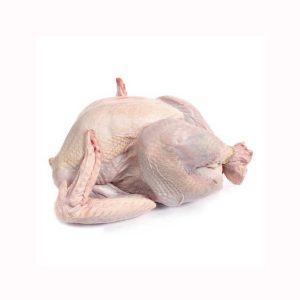 Brazil Frozen Chicken Paws / Chicken Feet / Whole Chicken and Chick Parts HALAL WHOLE FROZEN CHICKEN FROM GERMANY