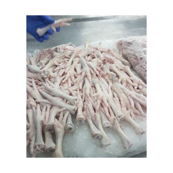 Wholesale high Quality Frozen Whole Chicken/Halal Frozen Boneless Chicken /Frozen chicken paws Chicken Feet and - Image 4