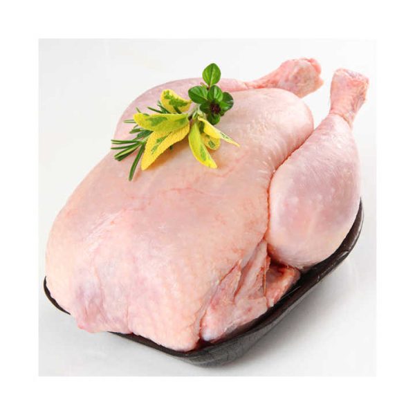 Frozen Chicken Legs and Wings Halal Whole Frozen Chicken/ Best World Market Price / Poultry Products 100 - Image 6