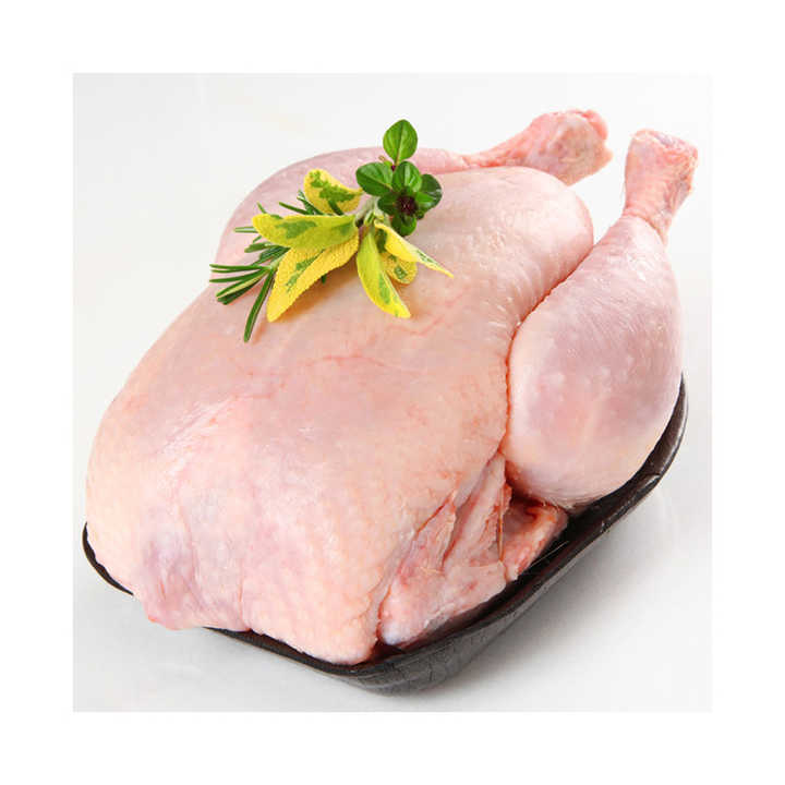 Frozen Chicken Legs and Wings Halal Whole Frozen Chicken/ Best World Market Price / Poultry Products 100 - Image 6