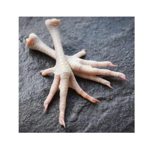 Wholesale Dealer Good Quality Cheap Price Halal Frozen Chicken Paws | Frozen Boneless Chicken for Export - Image 6