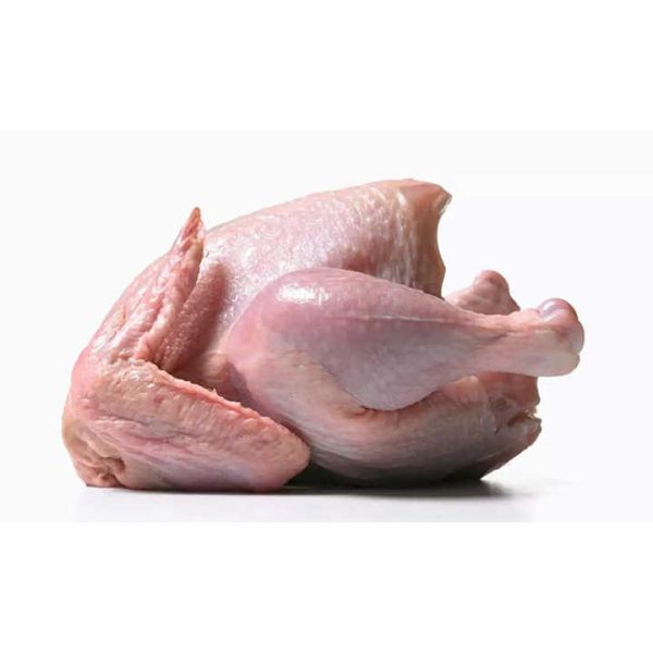 For Sale QUALITY HALAL WHOLE FROZEN CHICKEN FROM BRAZIL Top Quality Frozen Chicken Feet Paws Breast / Frozen Whole Chicken - Image 6