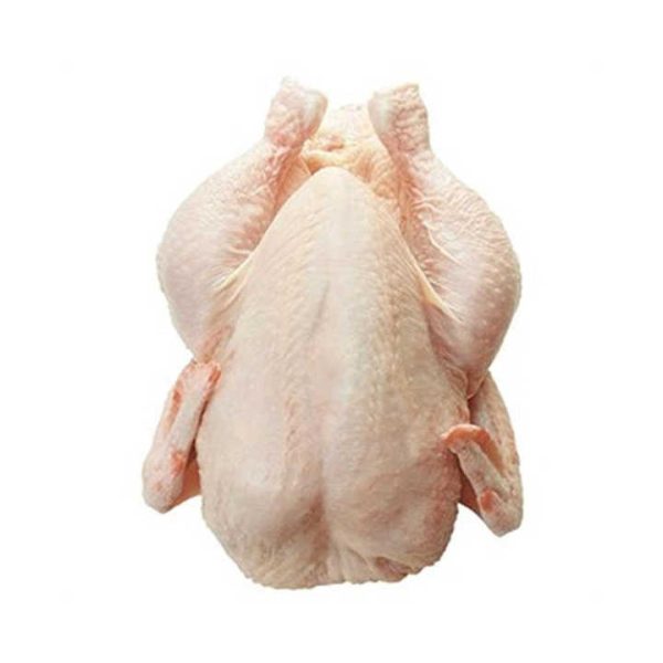 Whole Halal Frozen Chicken Top Selling Premium Grade High Quality Low Price Fresh Poultry Whole Frozen Chicken Meat From Brazil - Image 4