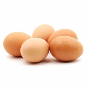 Quality Fertilized Fresh Brown Table Chicken Eggs Cheap Fresh Chicken Table Eggs Fresh Chicken in Bulk