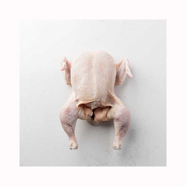 Top Selling Grade High Quality Low Price Fresh Frozen Whole Chicken Poultry Meat Frozen Whole Chicken From Brazil - Image 2