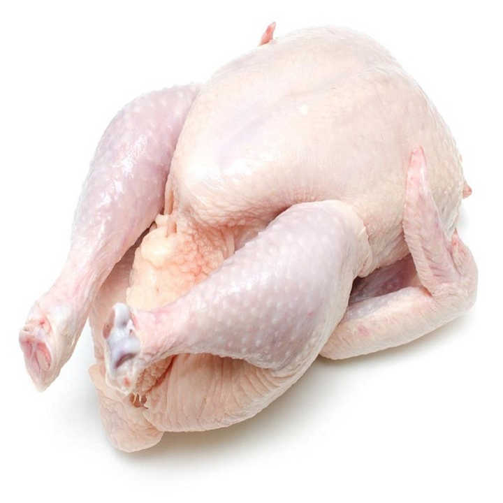 Top Brazilian / High Quality Halal Frozen Whole Chicken | Wholesale Halal Frozen Whole Chicken for Sale - Image 2
