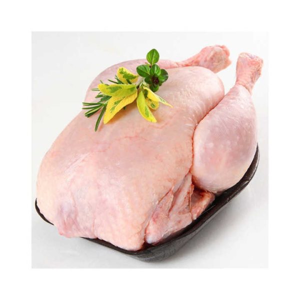 Whole Halal Frozen Chicken Top Selling Premium Grade High Quality Low Price Fresh Poultry Whole Frozen Chicken Meat From Brazil - Image 5