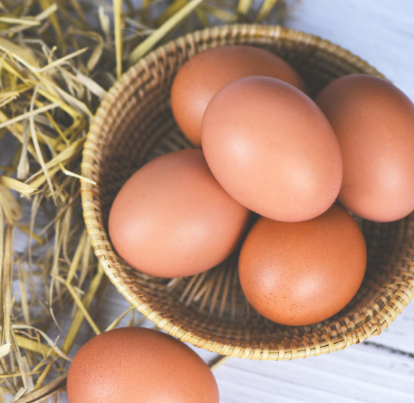 High Quality Fresh Brown Table Chicken Eggs Cheap Fresh Chicken in Bulk - Image 4