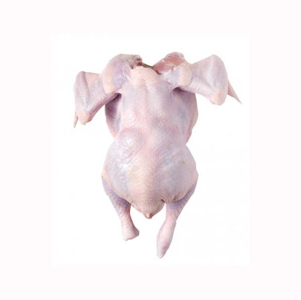 whole frozen chicken Halal Frozen Whole Chicken QUALITY HALAL WHOLE FROZEN CHICKEN FROM BRAZIL BRAZIL HALAL FROZEN - Image 3