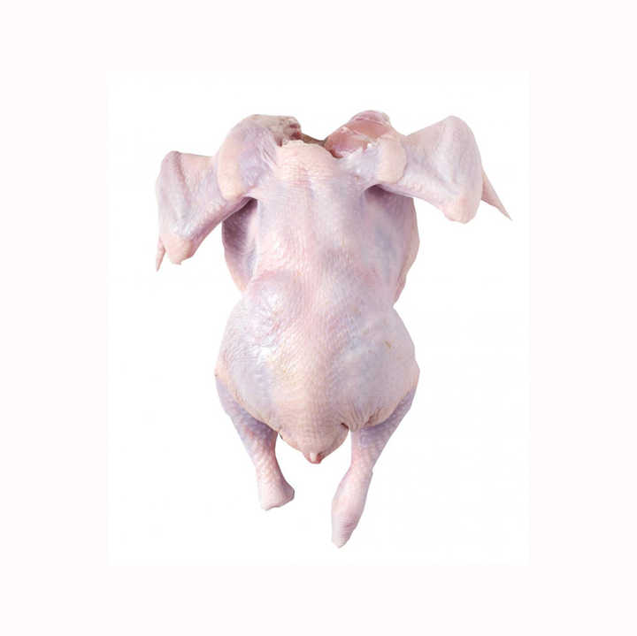 whole frozen chicken Halal Frozen Whole Chicken QUALITY HALAL WHOLE FROZEN CHICKEN FROM BRAZIL BRAZIL HALAL FROZEN - Image 3