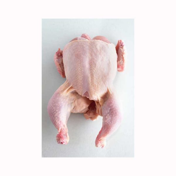 Top Selling Grade High Quality Low Price Fresh Frozen Whole Chicken Poultry Meat Frozen Whole Chicken From Brazil - Image 6
