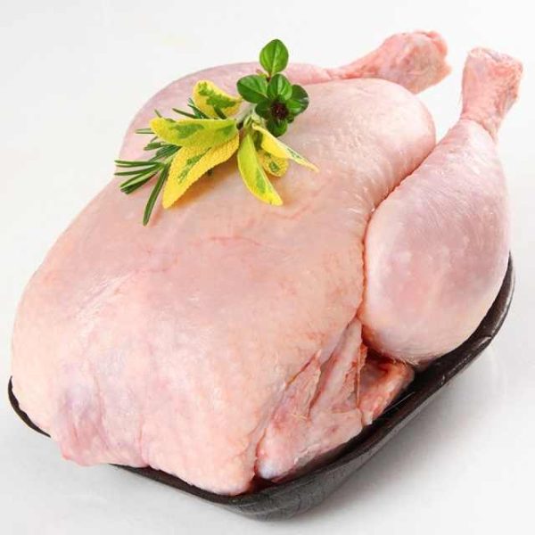 Frozen Whole Chicken Frozen Chicken for Sale Brazil Halal Whole Chicken Clean for Sale - Image 3