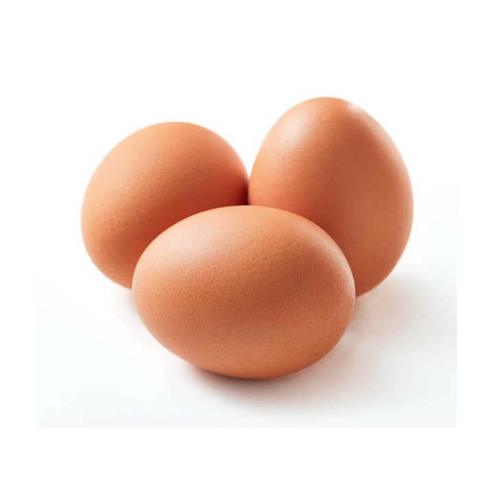 Best Quality Fresh Brown Table Chicken Eggs Cheap Fresh Chicken Table Eggs Fresh Chicken in bulk Brown Eggs from Brazil - Image 4