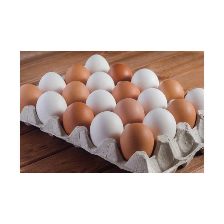 Best Quality Fresh Brown Table Chicken Eggs Cheap Fresh Chicken Table Eggs Fresh Chicken in bulk Brown Eggs from Brazil - Image 6